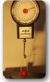 ZippMag Super Strong Neodymium Magnet Pull Test